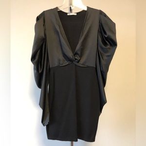 Zara Puff Sleeve Dress